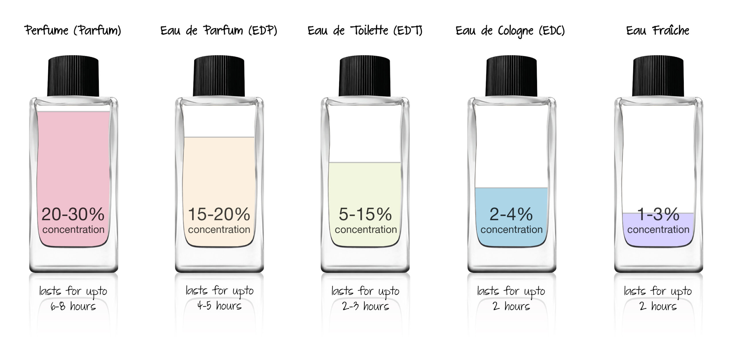 Perfume Bottle Size Chart